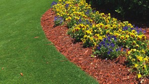 lawn_bark_border.png